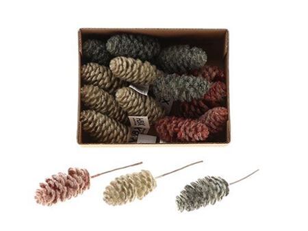 Pinecone Dinan L7d3.5