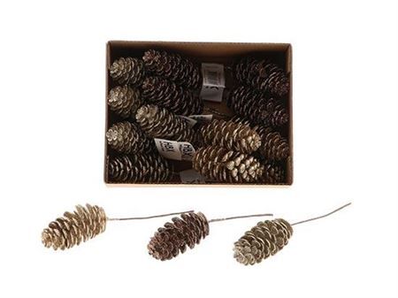 Pinecone Dinan Glitter L7d3.5