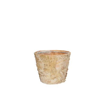 Birch pot d11*09cm