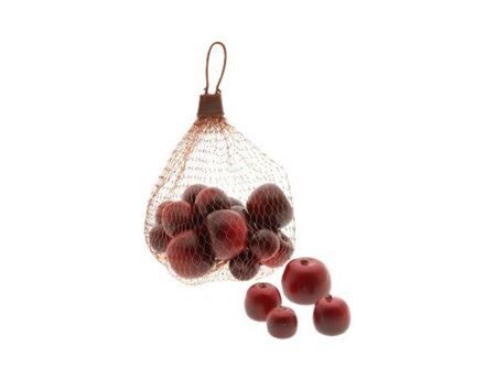 Apple Malus 3 Size 20pcs