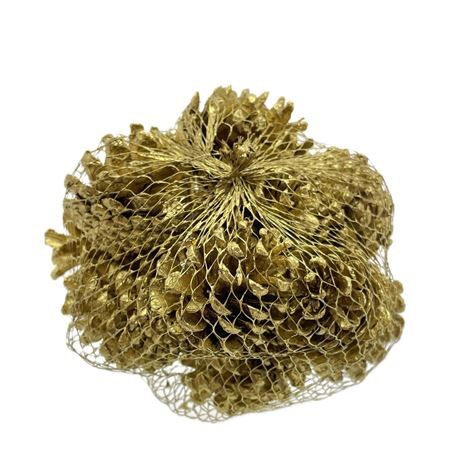 Pinecone Austria x10