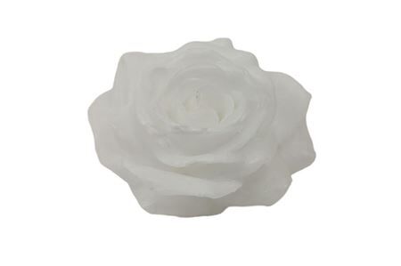 Rose Wax D10
