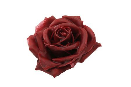 Rose Wax D10