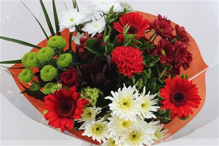 Boeket 15 Tak Rood