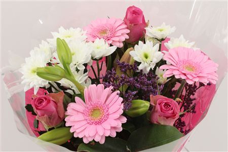 Boeket 3 Roos 3 Germini Roze
