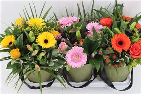Boeket Romy (mix Tray)